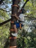 Thumbs/tn_2024-10-22 12 10 46.jpg